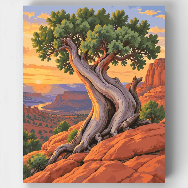 Gnarled Juniper at Sunset - Paint by Numbers Kit