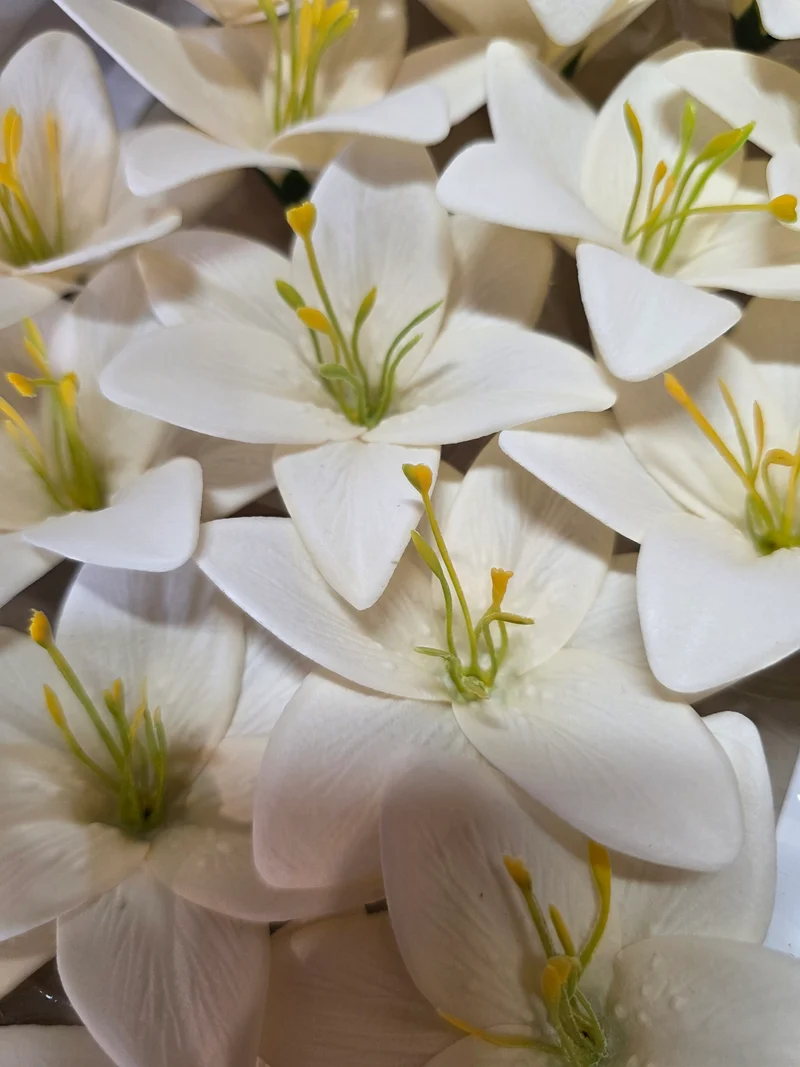 Seifenblume "Lilie 464" Creme