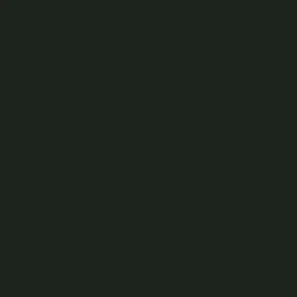 Daler Rowney - Canford - A1 Card 300gsm - Jet black