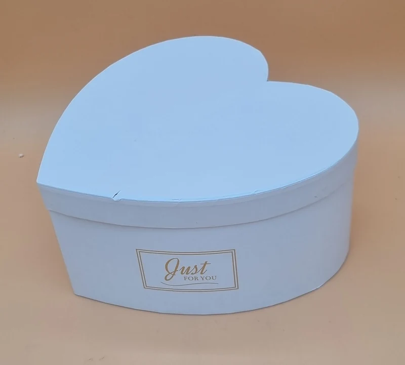 Box mit Deckel 22x11cm "Weiß 736"