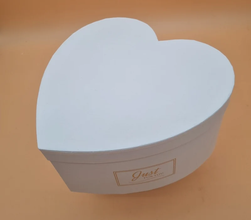 Box mit Deckel 20x10cm "Weiß 735"