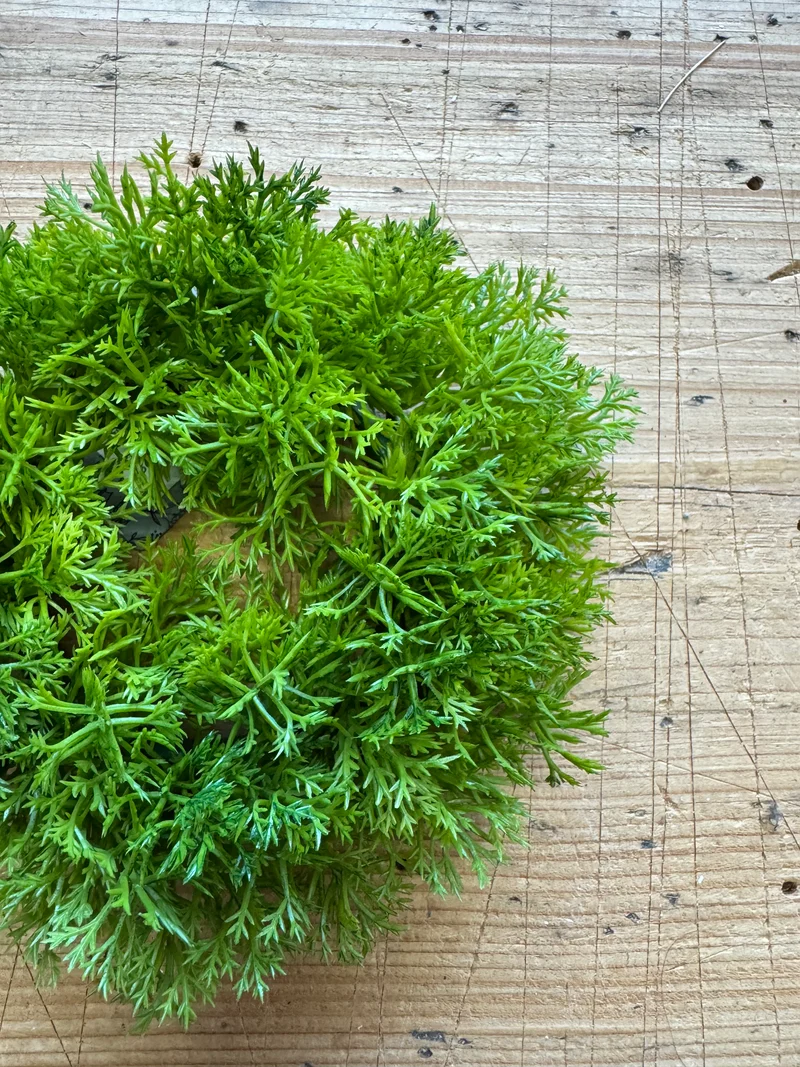 Mini Petersilienkranz