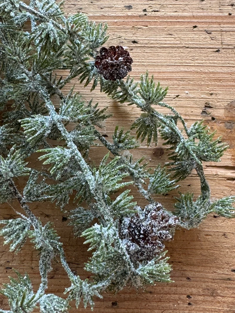 Lärchenranke mit Zapfen und Eis LANG