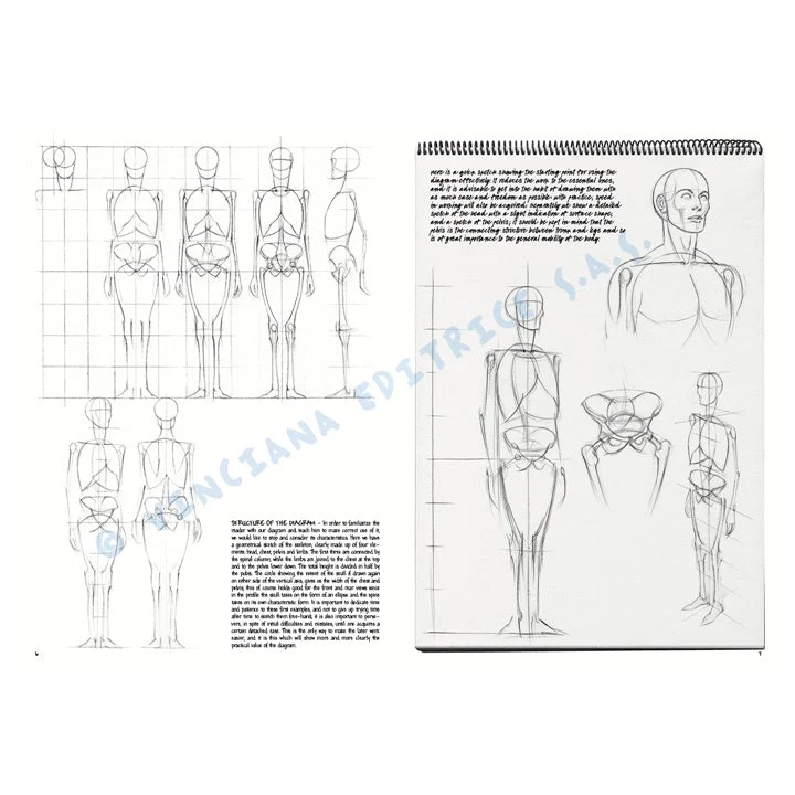 Leonardo Collection 02 Fundamentals of Drawing