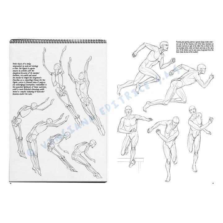 Leonardo Collection 02 Fundamentals of Drawing