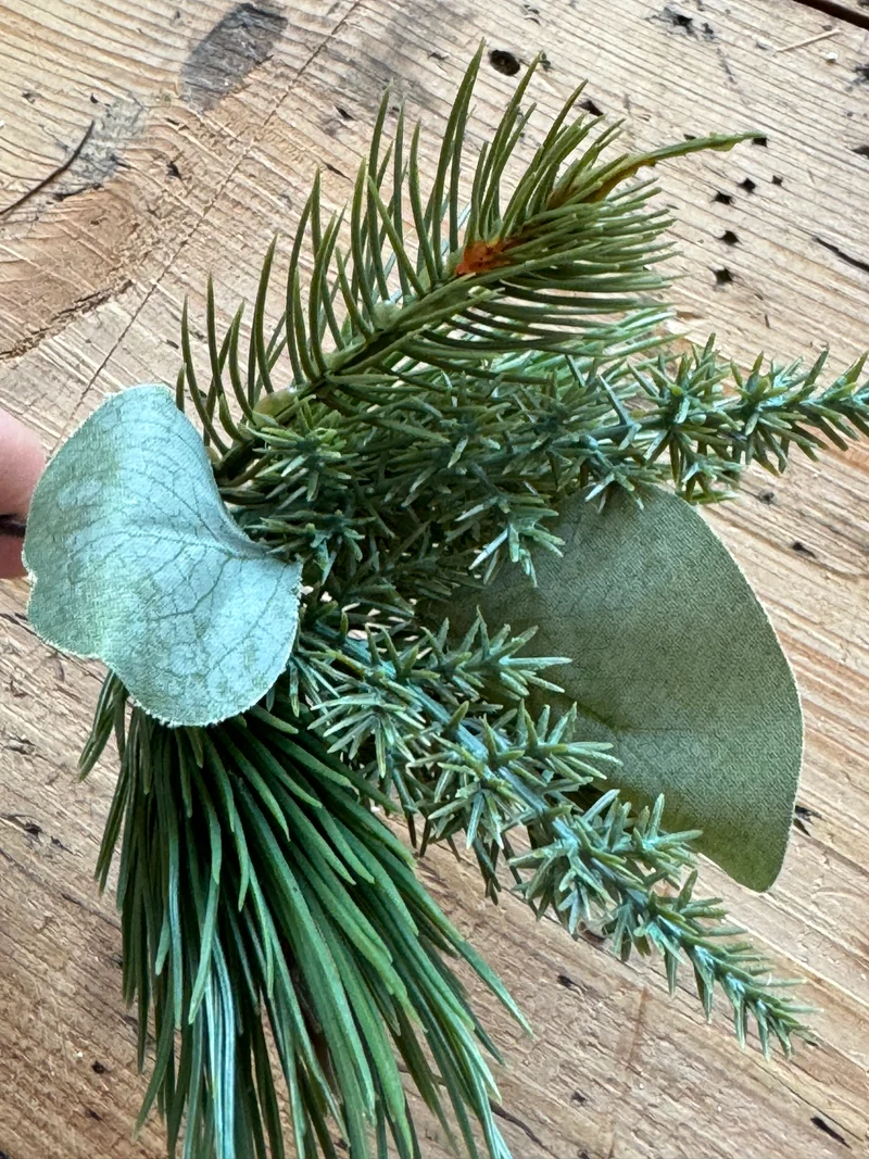 Tannenzweig winterliches Grün