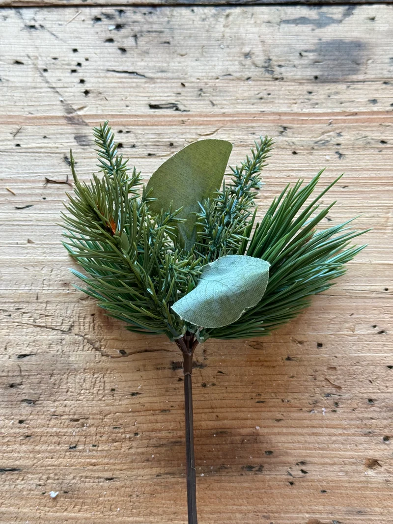 Tannenzweig winterliches Grün
