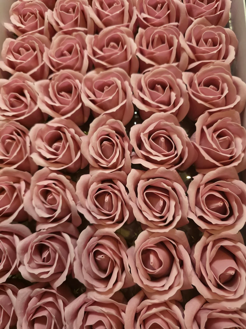 Seifenblume "Rose 56" Staubiges Rosa