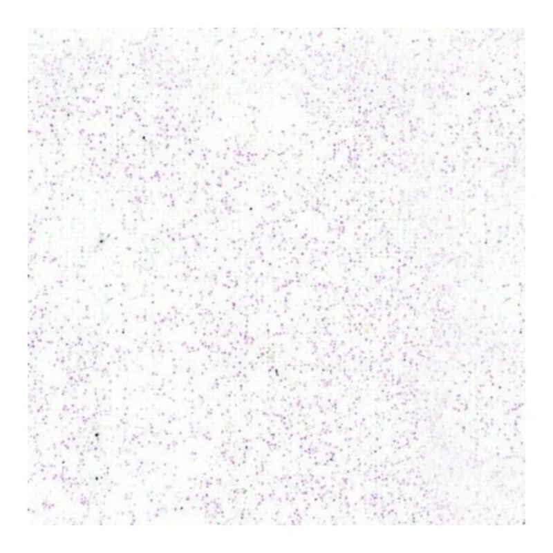 Pébéo Setacolor Glitter Textilfarbe – Diamond 204 , 45 ml