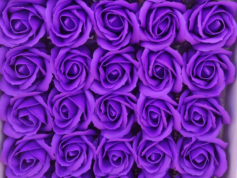 Seifenblume "Rose 12" Violett