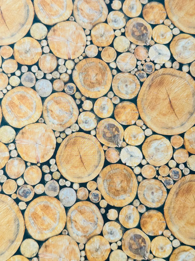 Tonkarton Holzsheiben