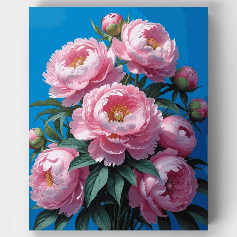 Pink Peonies on Blue Background - Paint by Numbers Kit