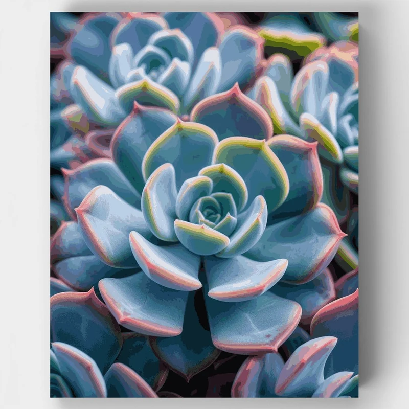 Dreamy Blue Succulent Rosettes - Paint by Numbers Kit