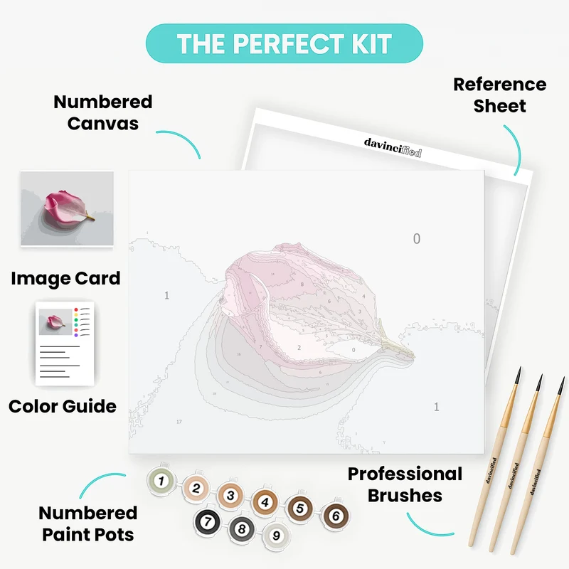 Pink Petal Elegance - Paint by Numbers Kit