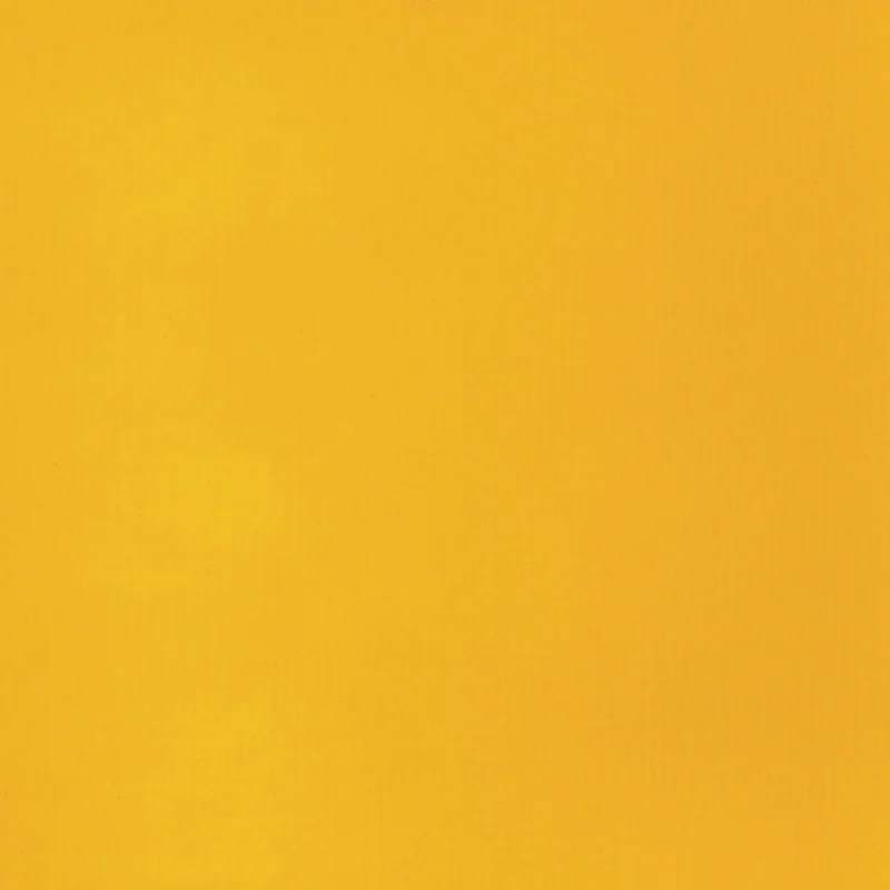 Liquitex Basics Fluid Acrylic 118ml - Cadmium Yellow Deep Hue S1