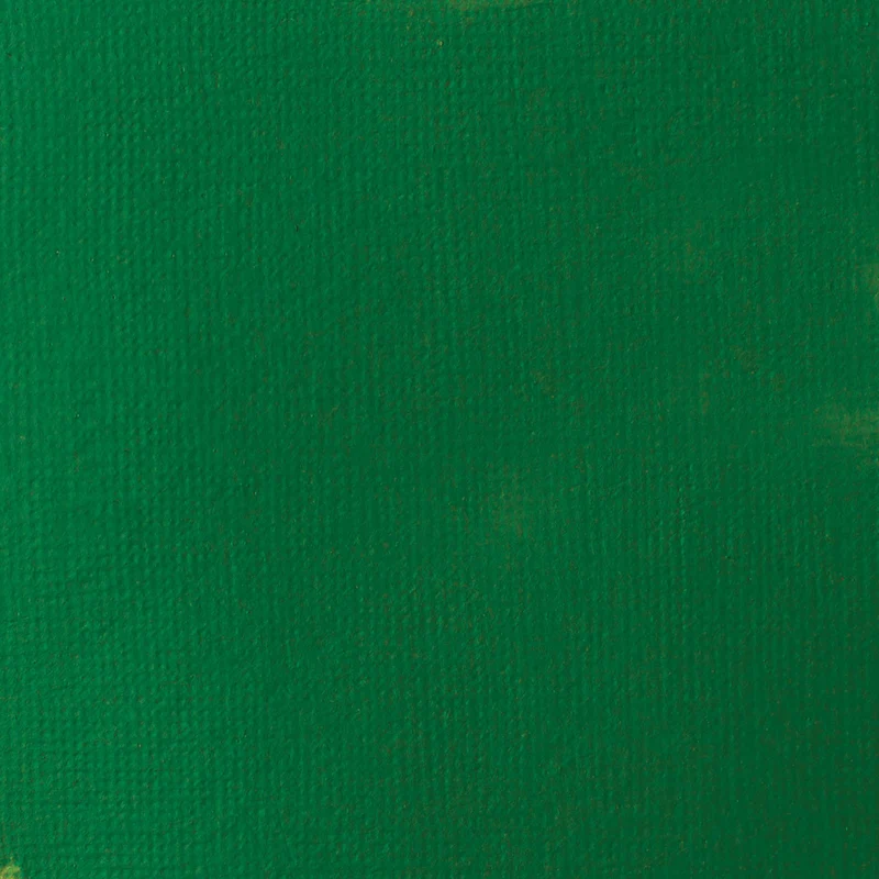 Liquitex Basics Fluid Acrylic 118ml - Hookers Green Hue Permanent S1