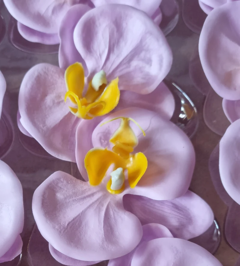 Seifenblume "Orchideen 108" Violett
