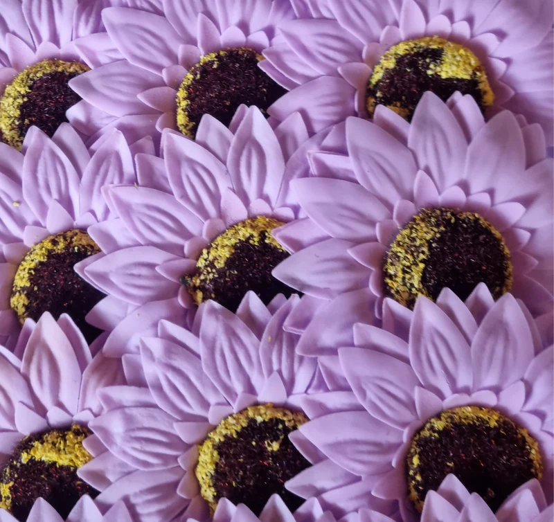 Seifenblume "Sonnenblume 94" Violett