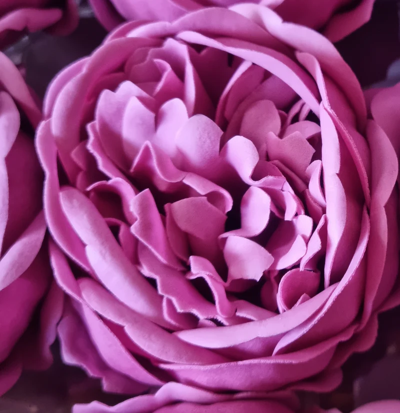 Seifenblume "Pfingstrosen 114" Indische Rose