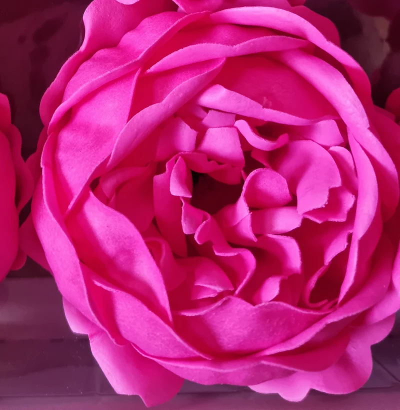 Seifenblume "Pfingstrosen 111" Fuchsia
