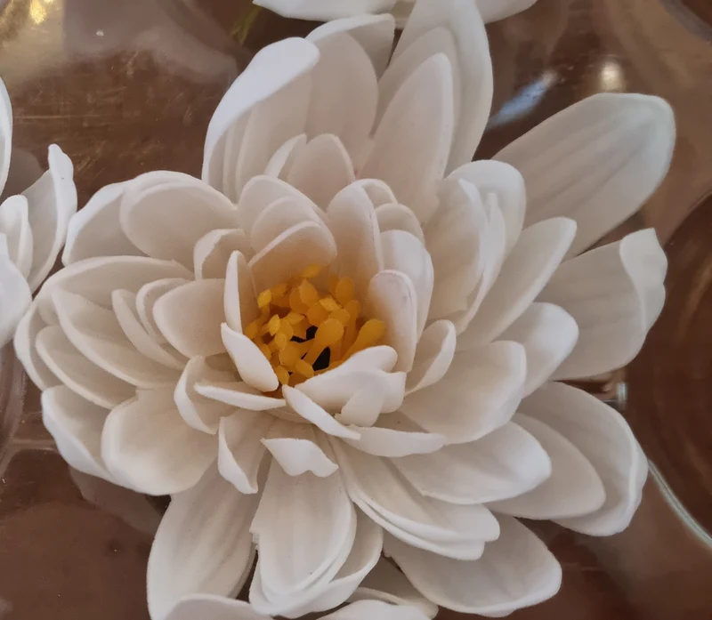 Seifenblume "Lotus 128" Weiß