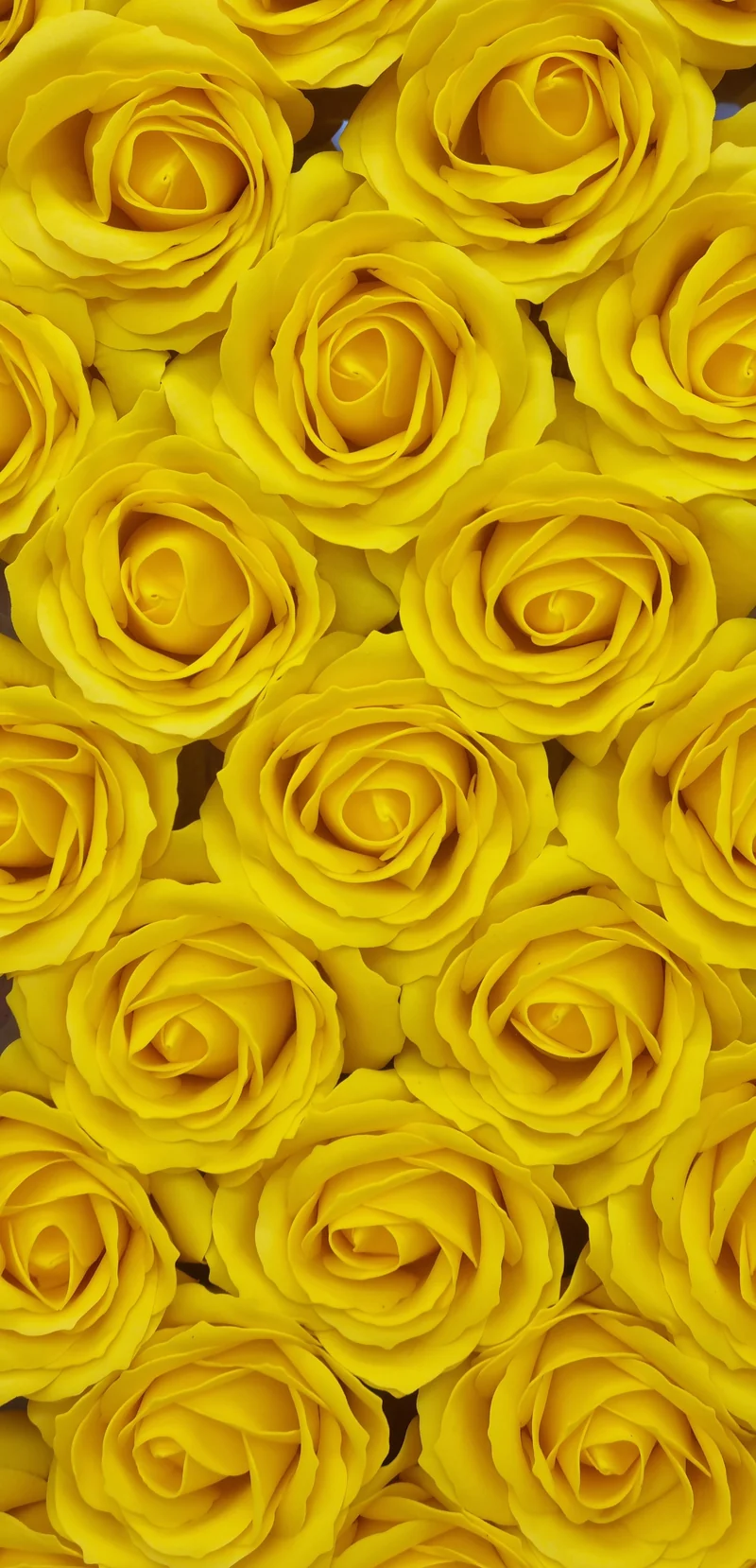 Seifenblume "Rose groß 86" Gelb