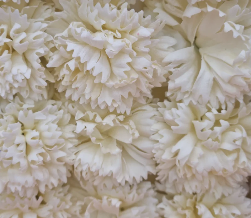 Seifenblume "Nelke 82" Creme