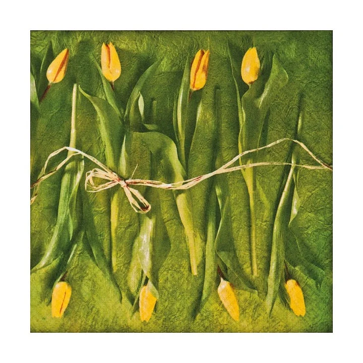 Fresh Tulips Decoupage Napkins – 1 pc
