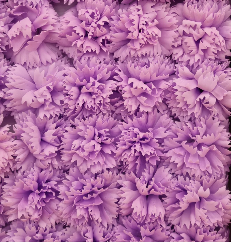 Seifenblume "Nelke 77" Violett