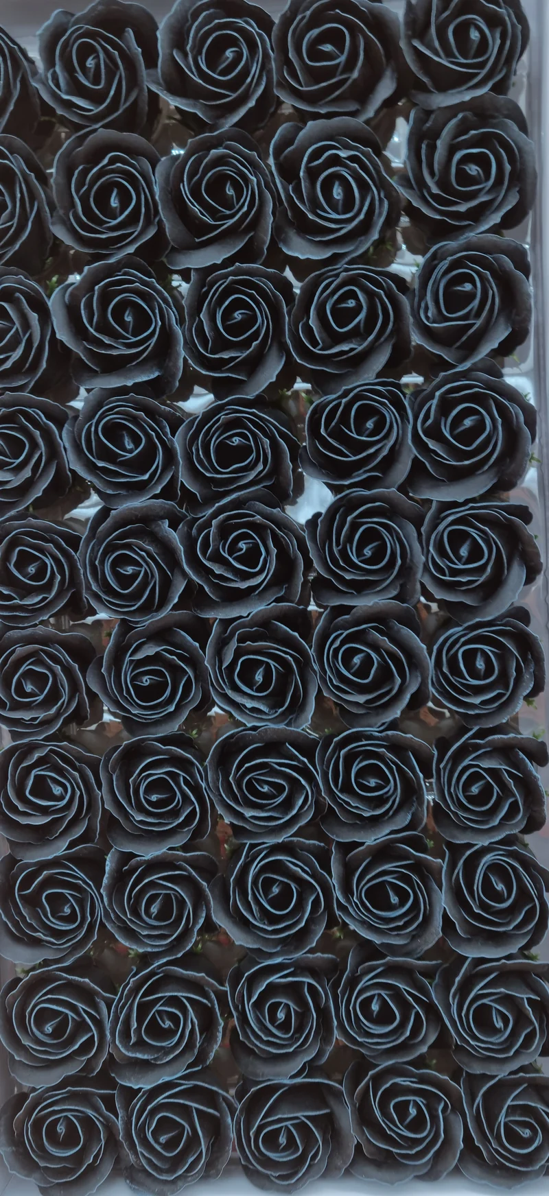 Seifenblume Multicolor Rand "Rose 68" Schwarz mit Rand