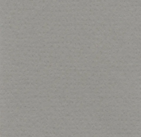 Hahnemuhle - Pastel Paper - Lanacolours - A4 - Cool Grey