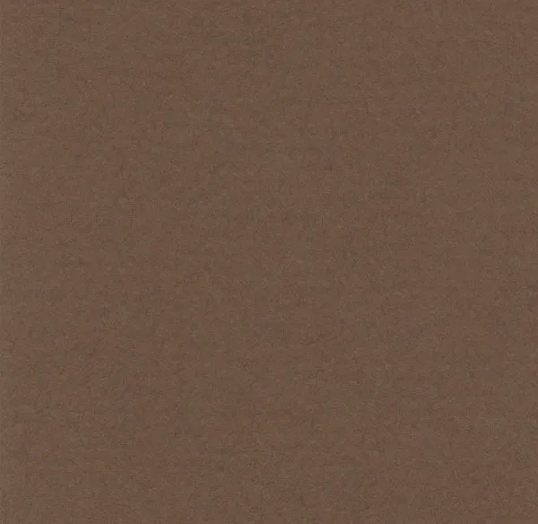 Hahnemuhle - Pastel Paper - Lanacolours - A4 - Dark Brown