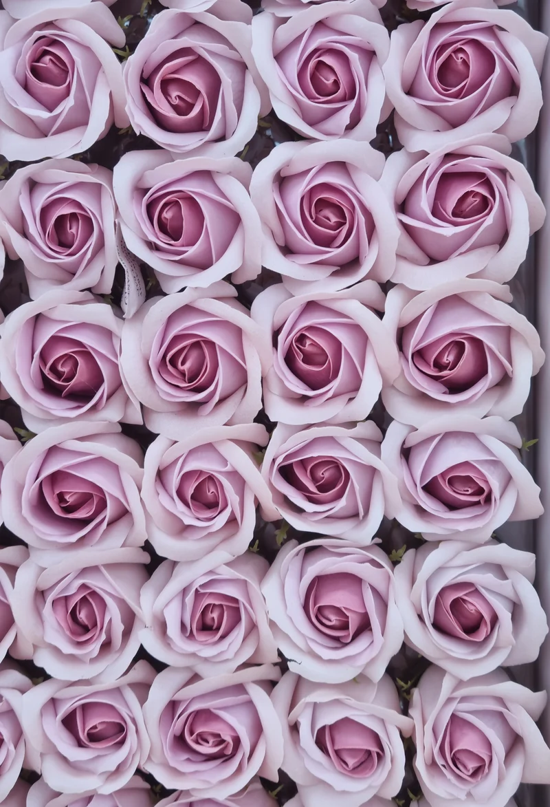 Seifenblume Multicolor "Rose 59" Rose Hell+Dunkel