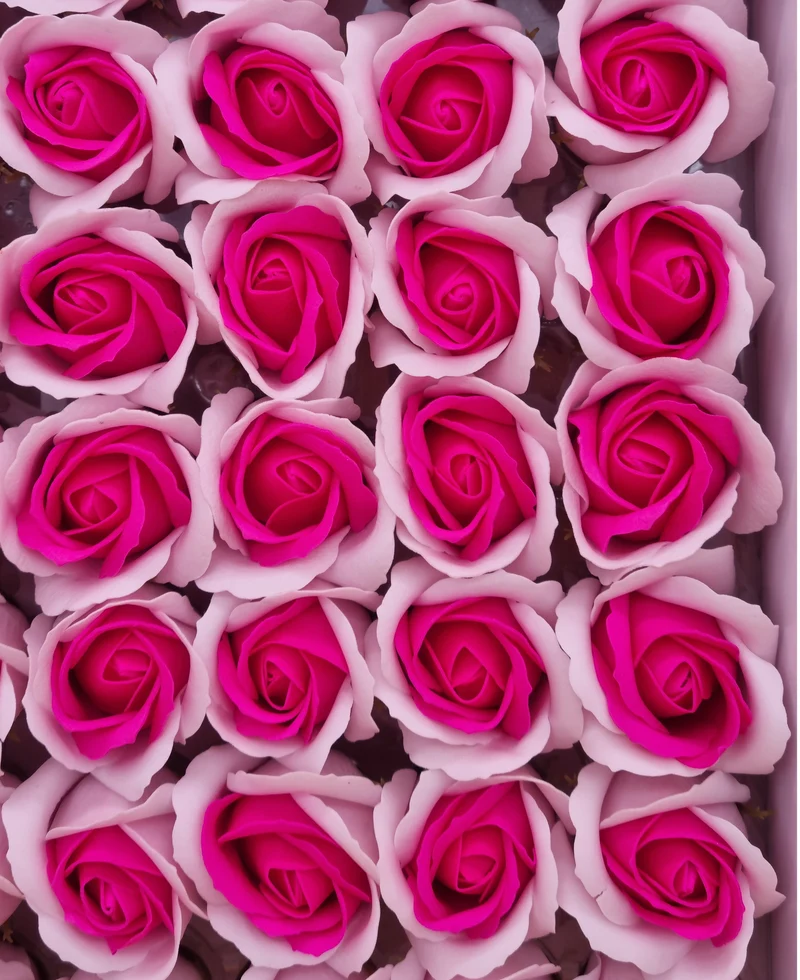 Seifenblume Multicolor "Rose 58" Rosa Hell + Dunkel