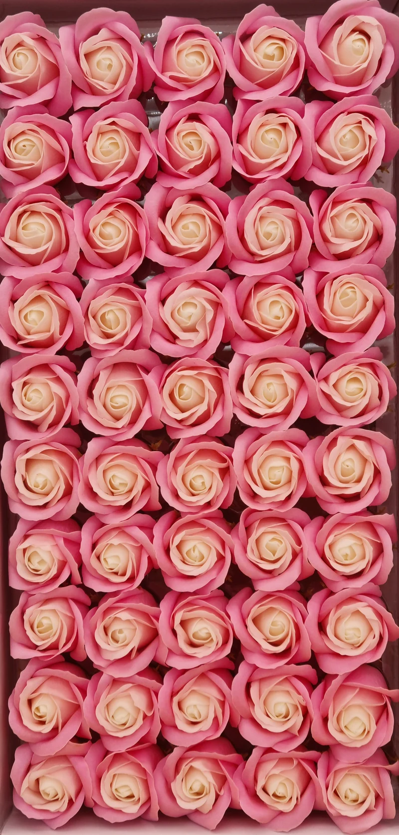 Seifenblume Multicolor "Rose 39" Rosa + Weiß