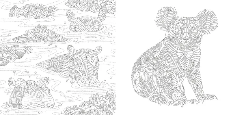 Book - Millie Marottas Wildlife Wonders - Colouring adventure.