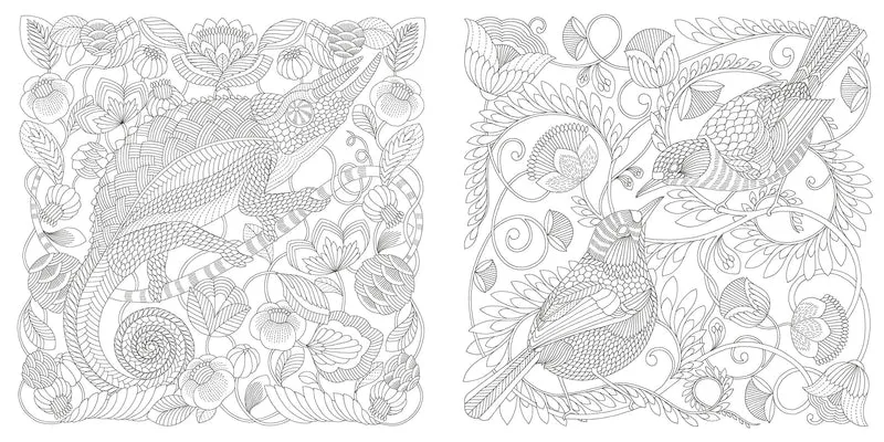 Book - Millie Marottas Wildlife Wonders - Colouring adventure.