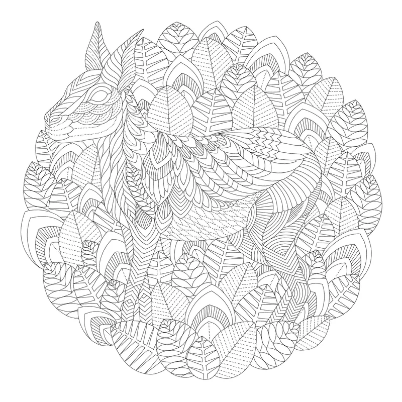 Batsford Book - Millie Marottas Curious Creatures - A Colouring Book Adventure