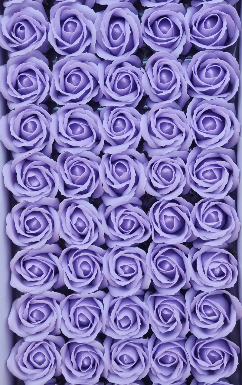 Seifenblume "Rose 14" Rauchiger Flieder