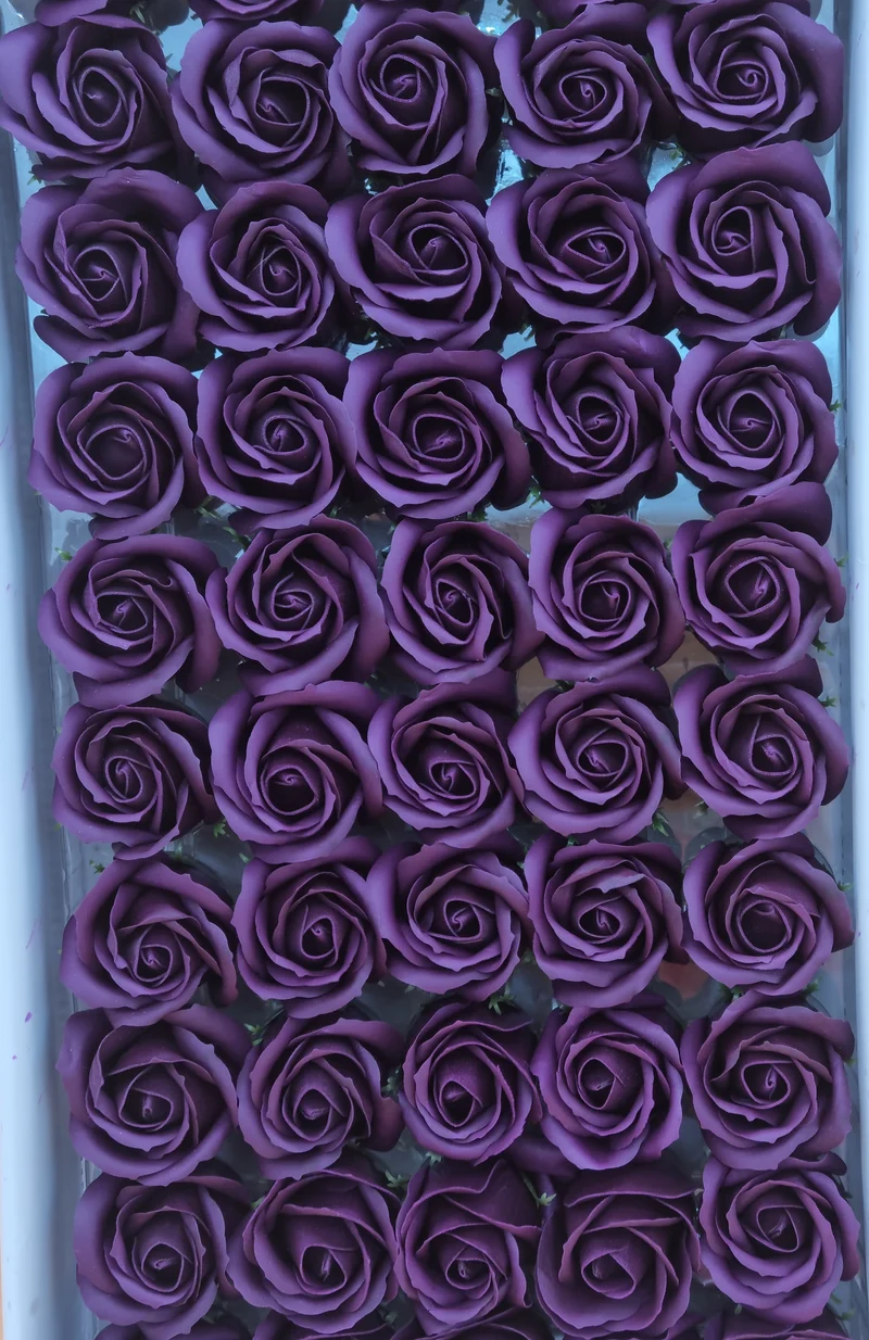 Seifenblume "Rose 22" Kräftige Kirsche
