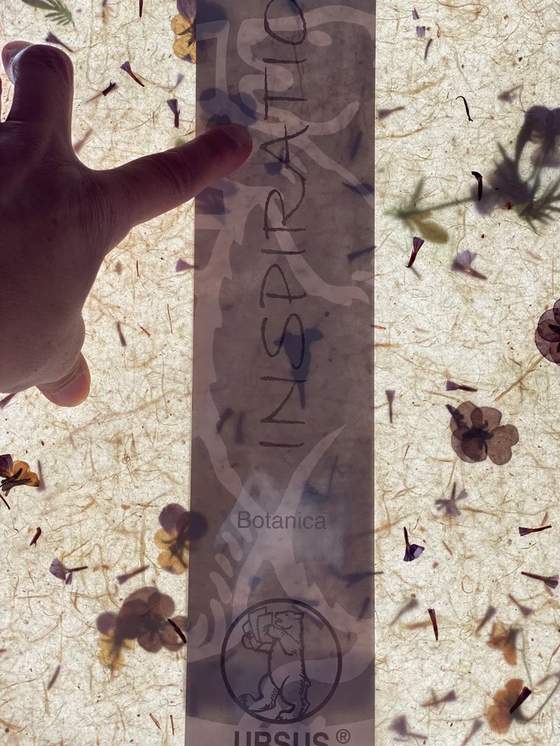 Strohseide Naturpapier Botanica