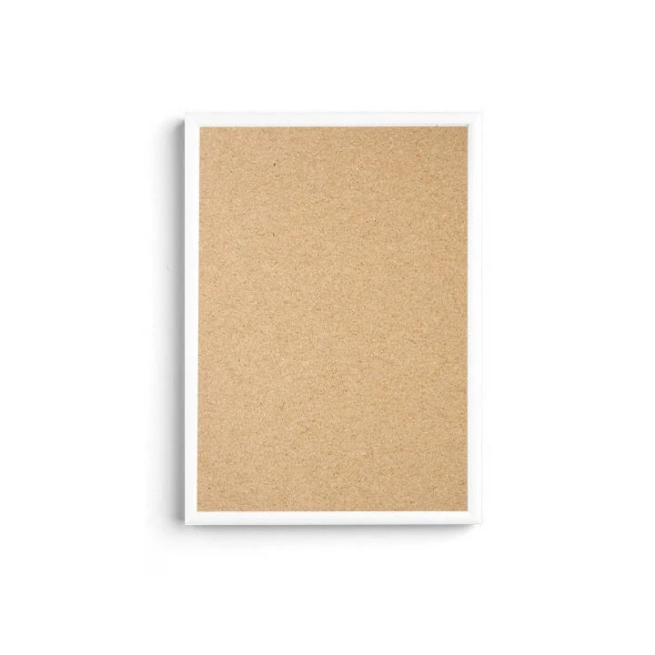 White Metal Frame with Plexiglass