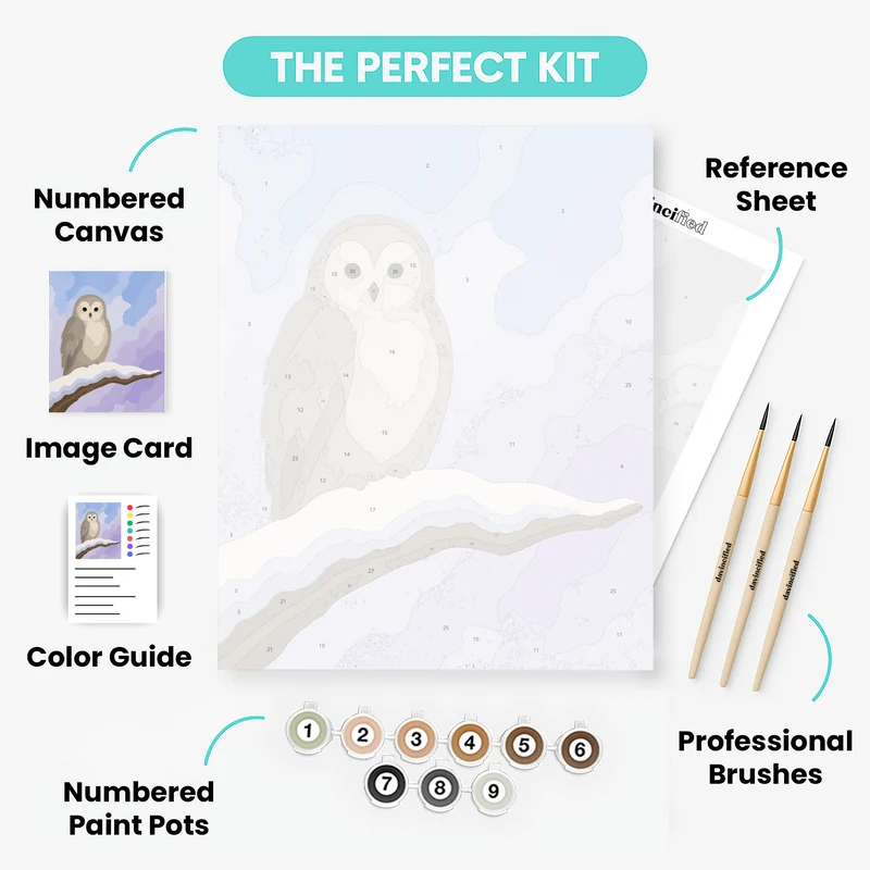 Snowy Branch Owl - Paint by Numbers Kit