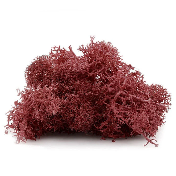 Iceland Moss 12 g