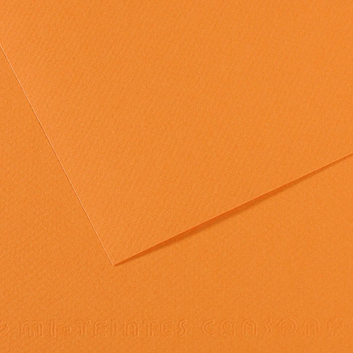 Carta per pastello CANSON Mi-Teintes A4 / 160 g/m² – 50 fogli