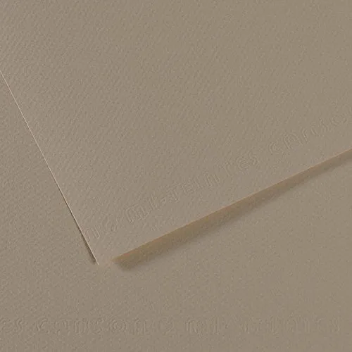 Carta per pastello CANSON Mi-Teintes A4 / 160 g/m² – 50 fogli