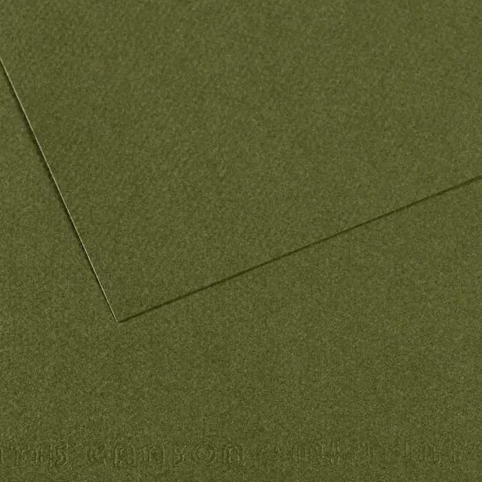 Toniran papir CANSON Mi-Teintes 50 x 65 cm – 160 g/m²