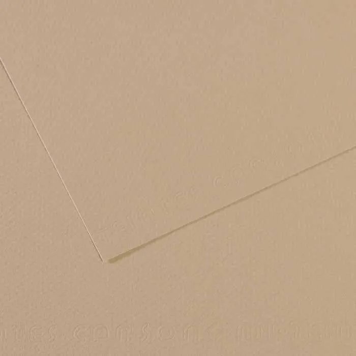 Χαρτί σχεδίου Canson Mi-Teintes 50 x 65 cm – 160 g/m²