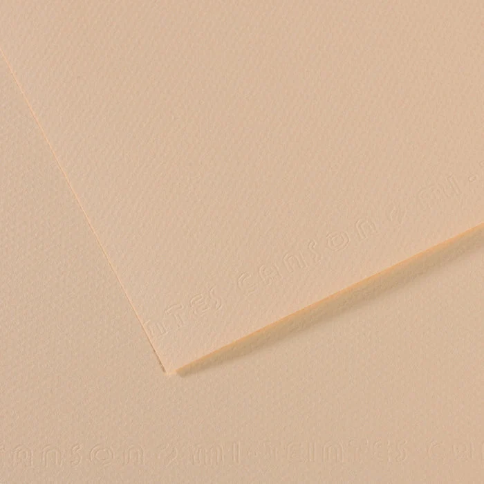 Χαρτί σχεδίου Canson Mi-Teintes 50 x 65 cm – 160 g/m²