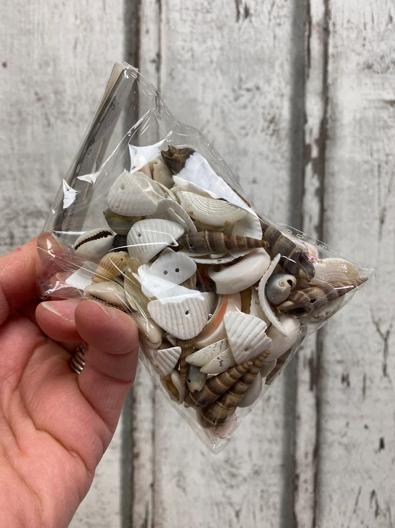 Strandmuschelmix Perlen